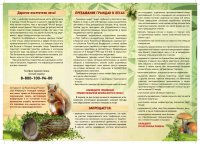 Памятка пребывания граждан в лесах Российской Федерации (1)_pages-to-jpg-0002